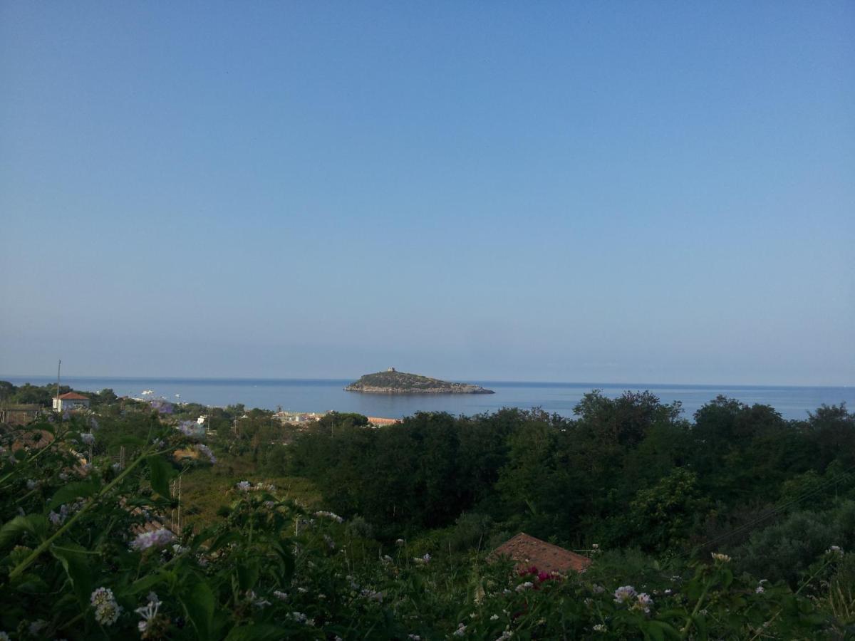 Hotel Cerelis Diamante
